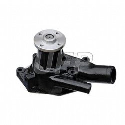 A213847 & 65.06500-6114 Forklift Water Pump