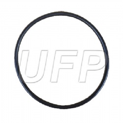 Z6003-08003 Forklift Tilt Cylinder O-ring