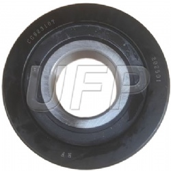 CG92310T & D01D8-00301 Forklift Mast Roller